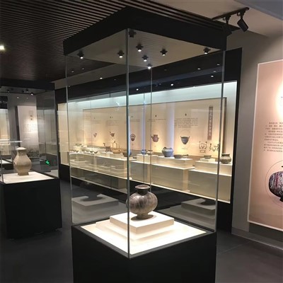 Muzejska arheološka vitrina